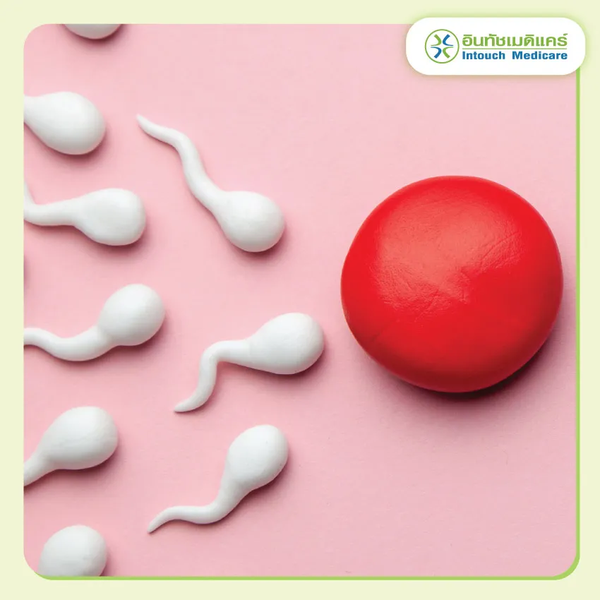 หลังฉีดยาคุมกำเนิดกี่วันถึงหลั่งในได้ หลังฉีดยาคุมกำเนิดกี่วันถึงหลั่งในได้