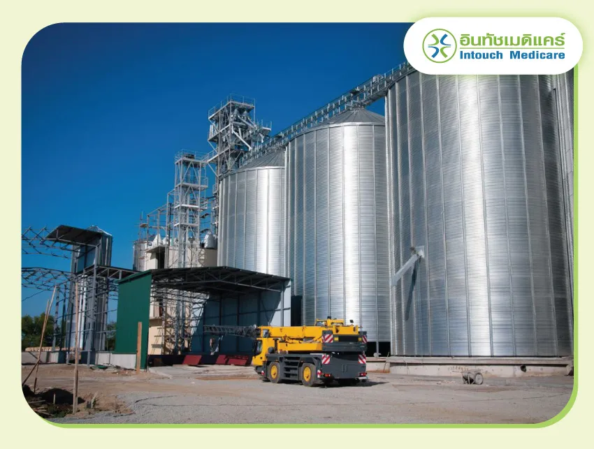 ช่างก่อสร้าง ซ่อมไซโล ช่างก่อสร้าง ซ่อมไซโล