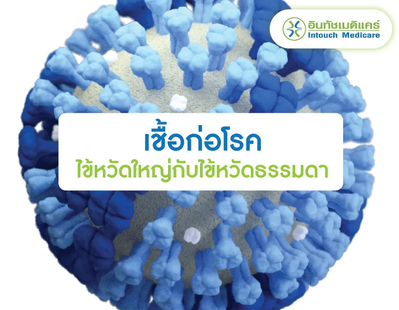 เชื้อก่อโรคไข้หวัดใหญ่กับไข้หวัดธรรมดา เชื้อก่อโรคไข้หวัดใหญ่กับไข้หวัดธรรมดา