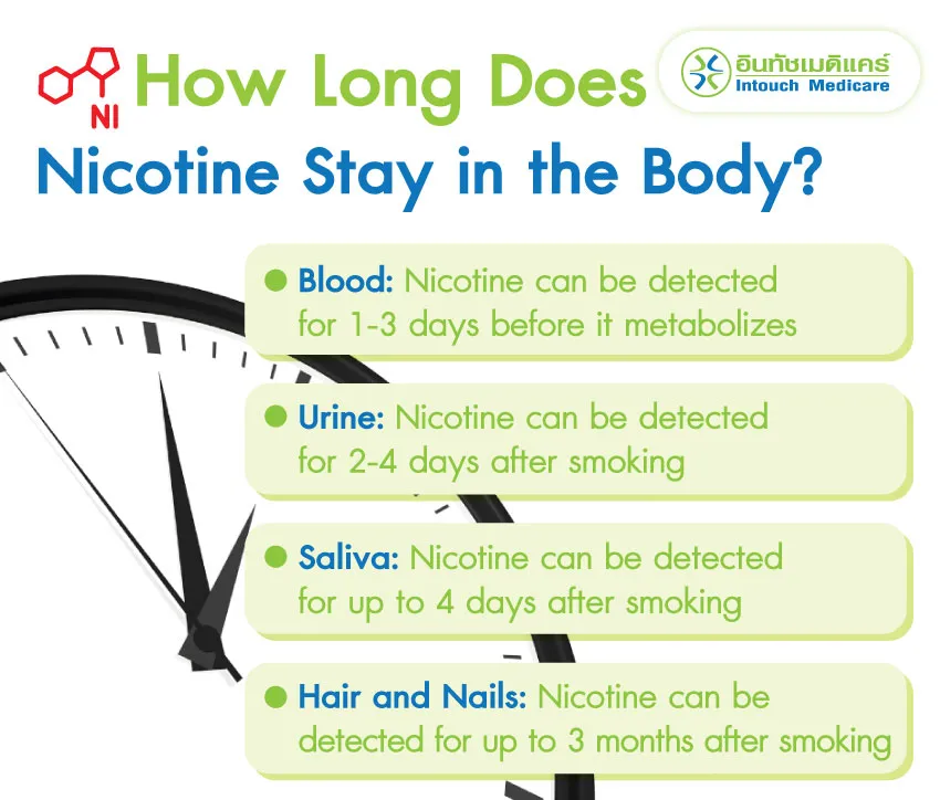 สารนิโคตินอยู่ในร่างกายได้นานแค่ไหน สารนิโคตินอยู่ในร่างกายได้นานแค่ไหน