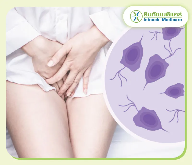 โรคพยาธิในช่องคลอด โรคพยาธิในช่องคลอด