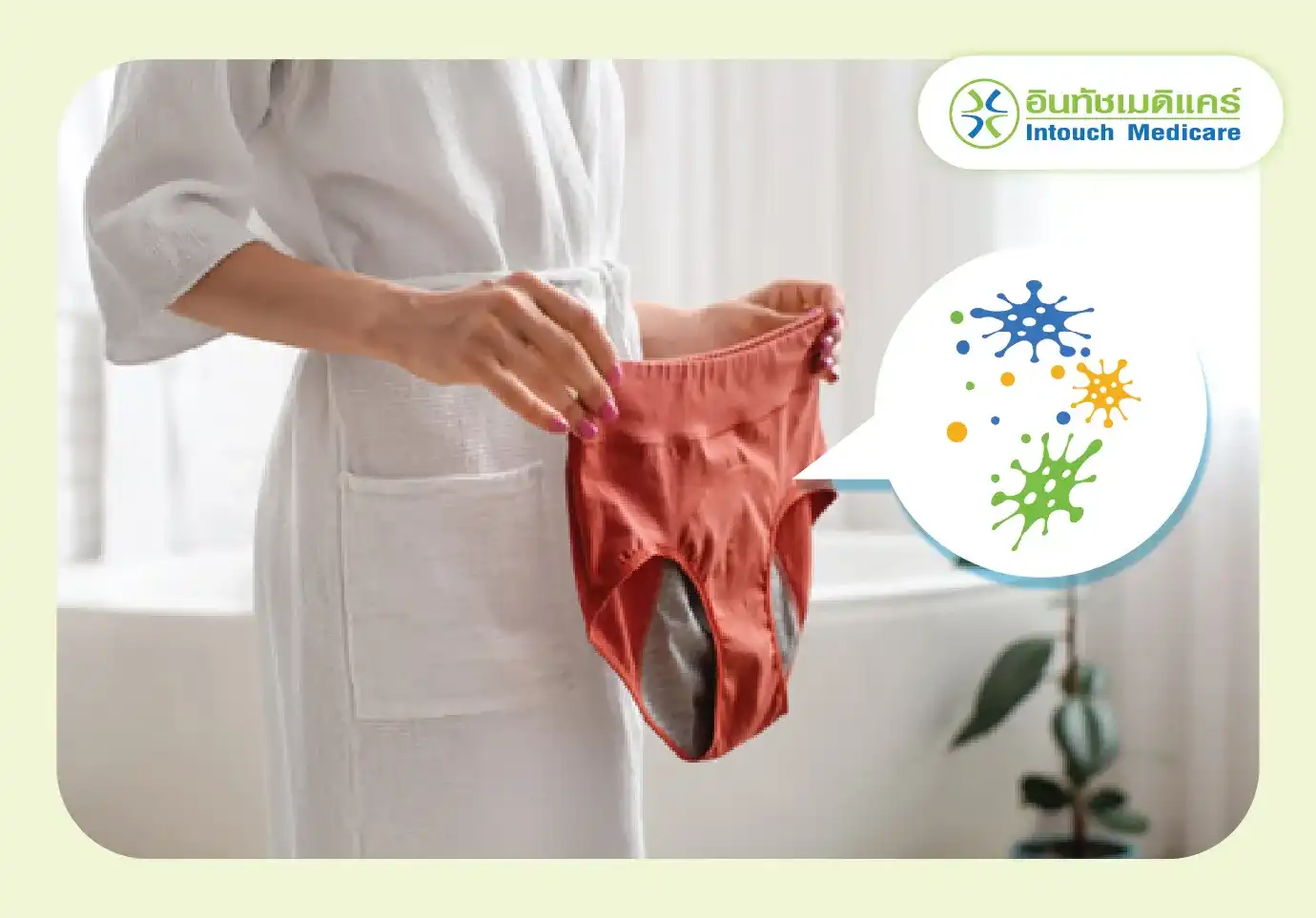 การใส่กางเกงในซ้ำโดยไม่ซักเป็นการสร้างแหล่งสะสมของเชื้อโรค การใส่กางเกงในซ้ำโดยไม่ซักเป็นการสร้างแหล่งสะสมของเชื้อโรค