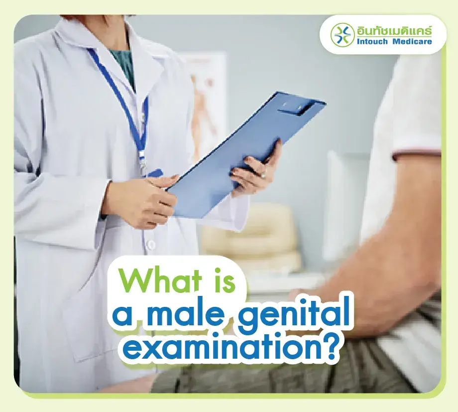What is a male genital examination? What is a male genital examination?