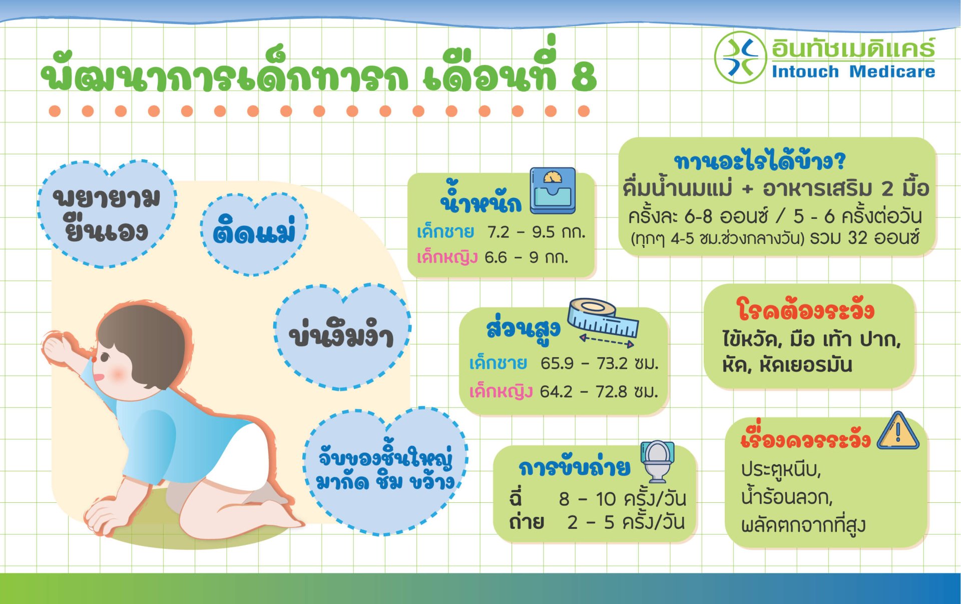 พัฒนาการเด็กทารกเดือนที่ 8 baby-development-in-8-month