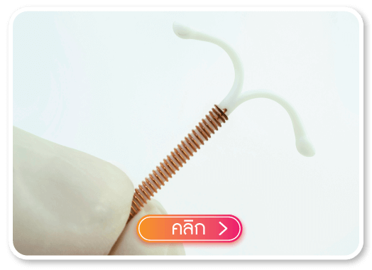 คลิกเพื่อรับบริการ ใส่ห่วงอนามัย คลิกเพื่อรับบริการ ใส่ห่วงอนามัย