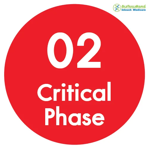 Critical Phase Critical Phase