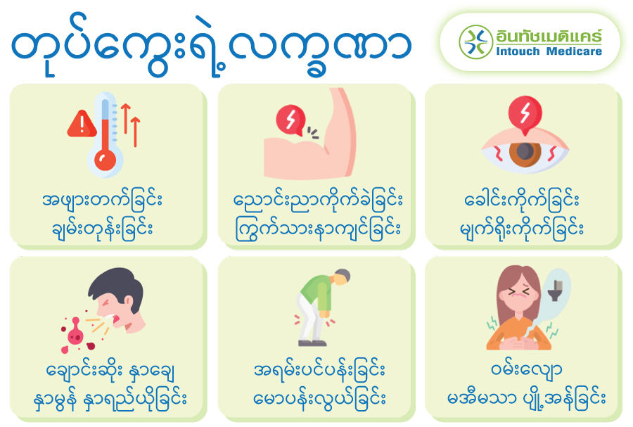 တုပ်ကွေးရဲ့လက္ခဏာ တုပ်ကွေးရဲ့လက္ခဏာ