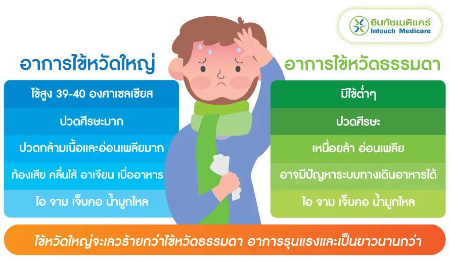 อาการไข้หวัดใหญ่กับไข้ธรรมดา อาการไข้หวัดใหญ่กับไข้ธรรมดา