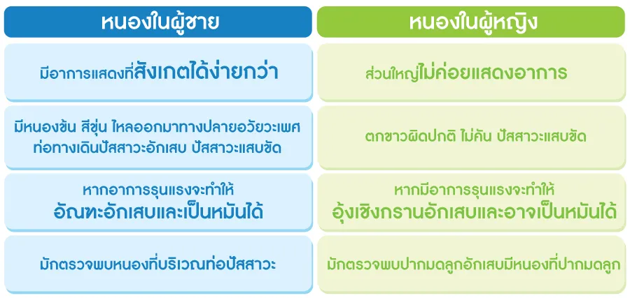 ความแตกต่างหนองในผู้ชายกับหนองในผู้หญิง