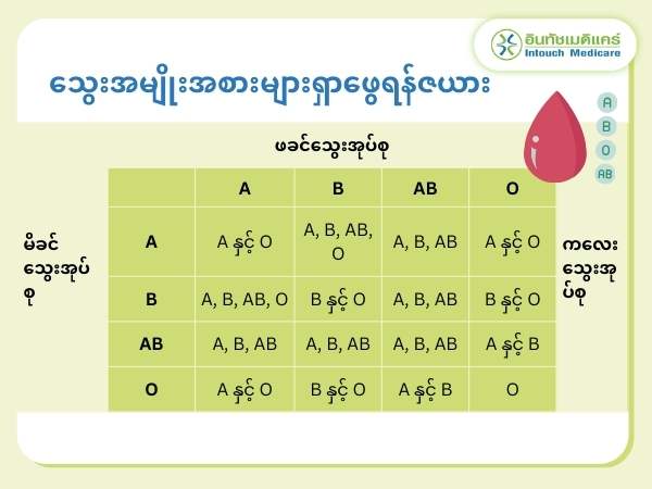 သွေးအမျိုးအစားများရှာဖွေရန်ဇယား. သွေးအမျိုးအစားများရှာဖွေရန်ဇယား.