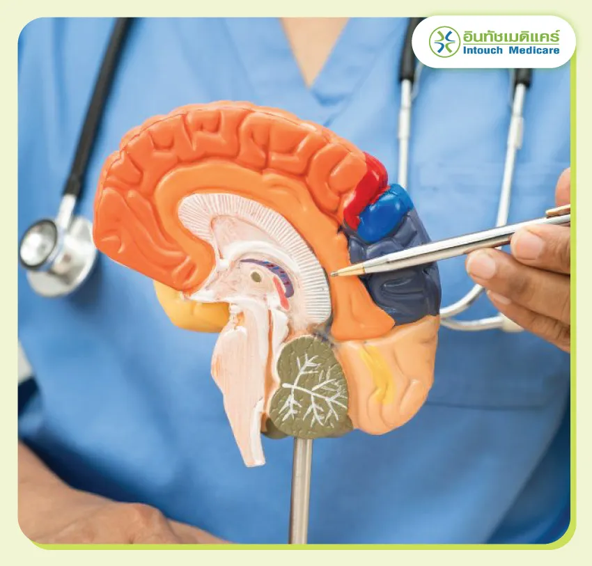 วิธีรักษาโรคอัลไซเมอร์ วิธีรักษาโรคอัลไซเมอร์