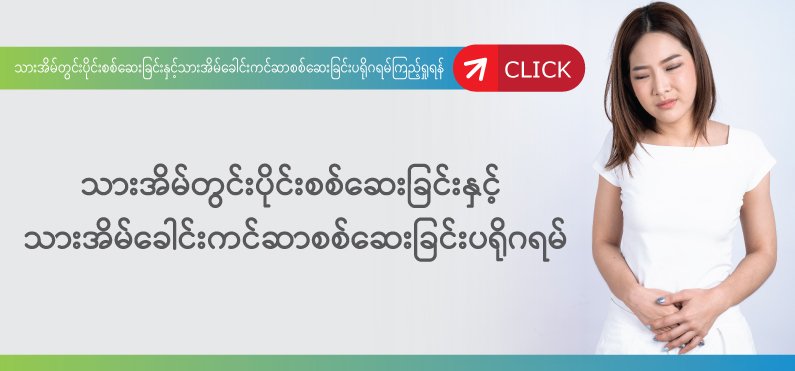သားအိမ်တွင်းပိုင်းစစ်ဆေးခြင်းနှင့်သားအိမ်ခေါင်းကင်ဆာစစ်ဆေးခြင်း သားအိမ်တွင်းပိုင်းစစ်ဆေးခြင်းနှင့်သားအိမ်ခေါင်းကင်ဆာစစ်ဆေးခြင်း
