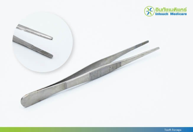 Tooth Forceps Tooth Forceps