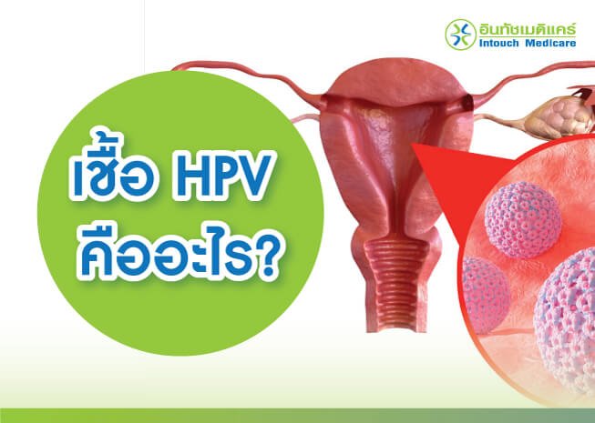 เชื้อ HPV คืออะไร เชื้อ HPV คืออะไร